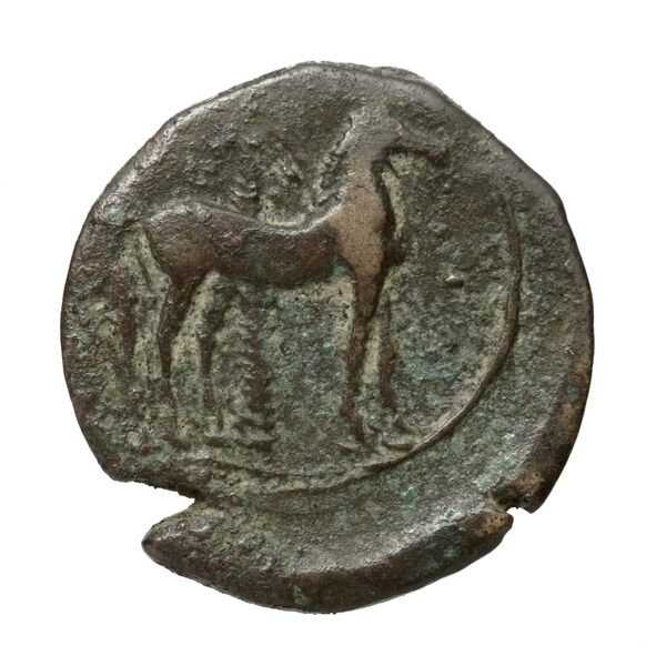 Carthaginian Empire Carthage Alexandropoulos 2007 18, реверс, bnf-iris