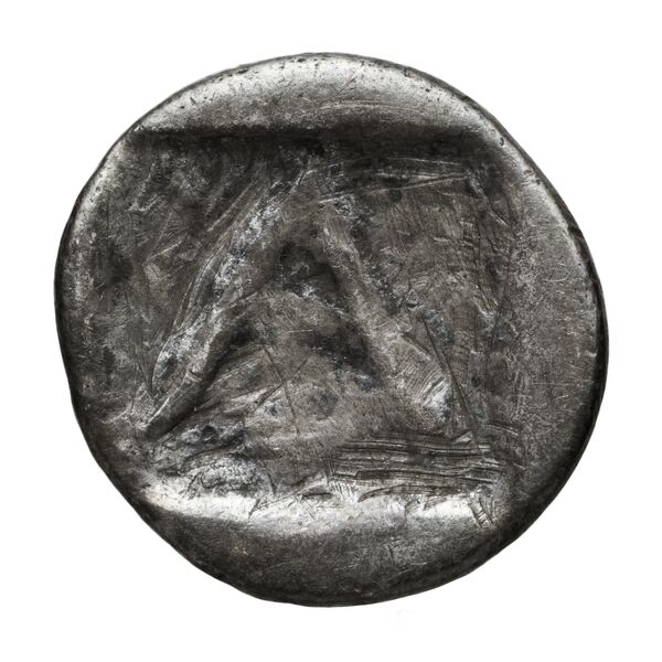 Argos BMC Argos 54-5; 71-83, реверс, bnf-iris