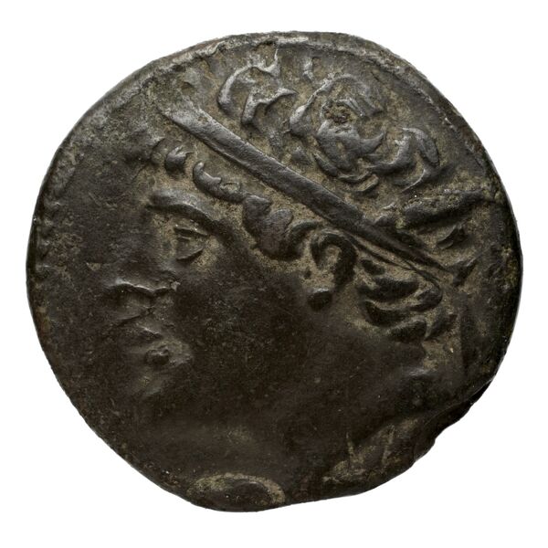 Hieron II Syracuse Puglisi 2009 342-343, аверс, bnf-iris
