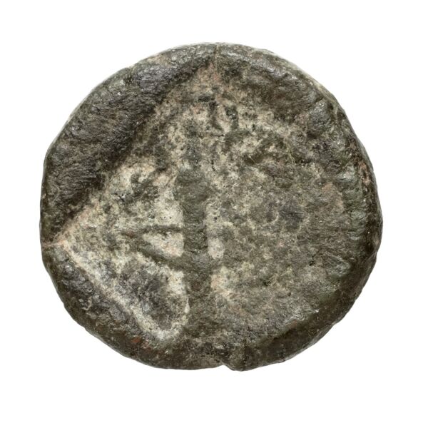 Lycian League Patara Troxell 1982 3.70, реверс, bnf-iris