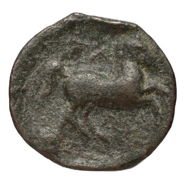 Elis BMC Elis 116-119, 129-130, 144-146, реверс, bnf-iris