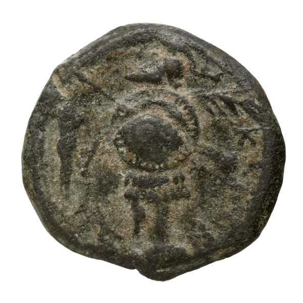 Caelia Historia Numorum Italy 764, реверс, bnf-iris