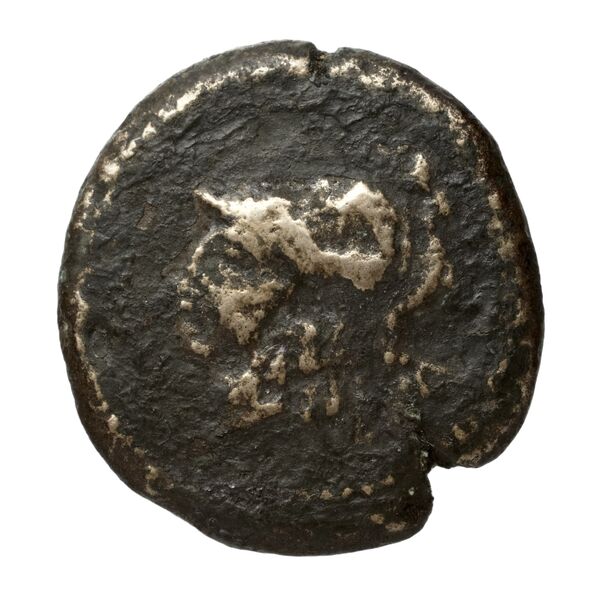 Suessa Aurunca Historia Numorum Italy 449, аверс, bnf-iris