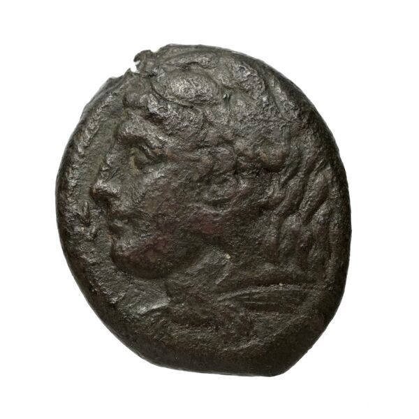 Agathocles of Syracuse Syracuse Puglisi 2009 319, аверс, bnf-iris