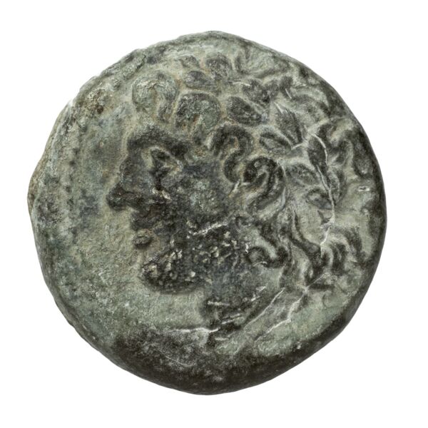 obverse Nuceria Historia Numorum Italy 2438-46