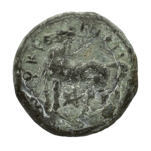 reverse Nuceria Historia Numorum Italy 2438-46
