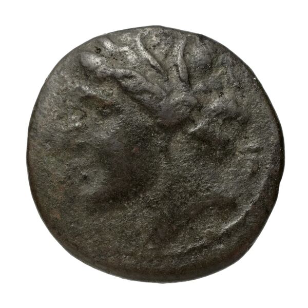 Hieron II Syracuse Puglisi 2009 335, аверс, bnf-iris