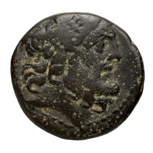 Apameia in Syria BMC Apamea 3, 5, 14, аверс, bnf-iris