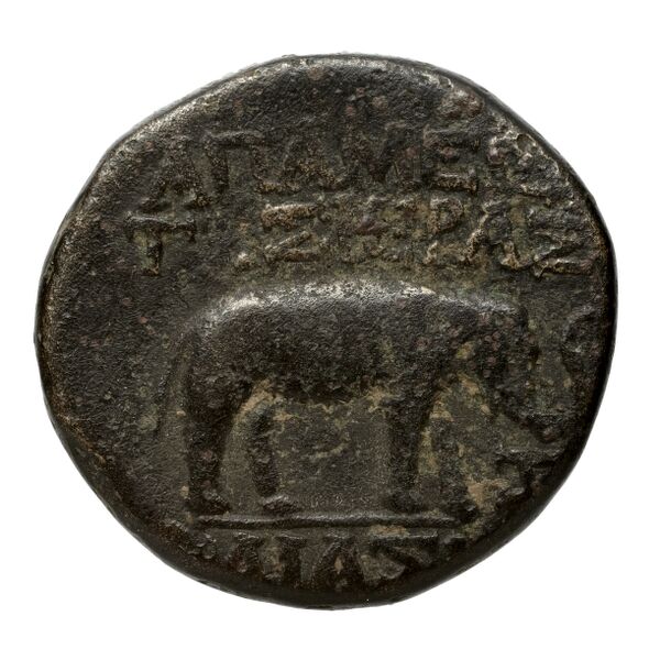 Apameia in Syria BMC Apamea 3, 5, 14, реверс, bnf-iris