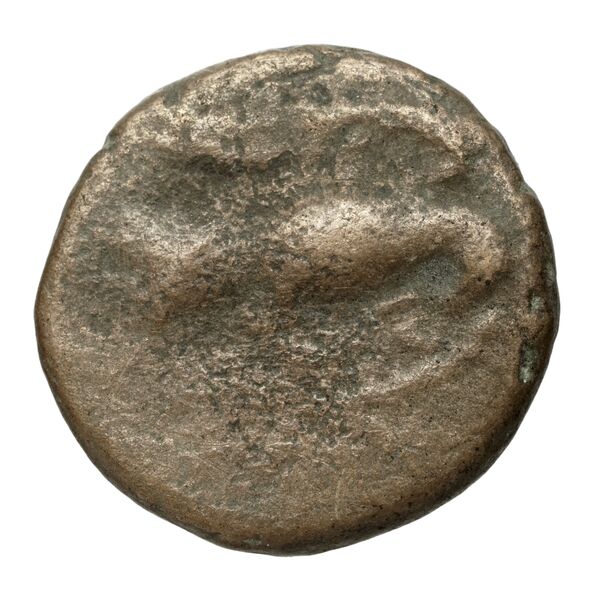 Chalcis Picard 1979 Series I group IV issue 66-81 bronze, реверс, bnf-iris