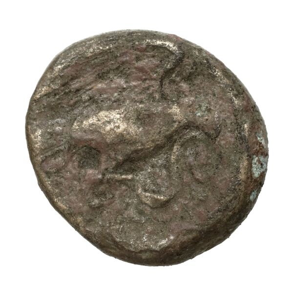 Chalcis Picard 1979 Series I group IV issue 66-81 bronze, реверс, bnf-iris
