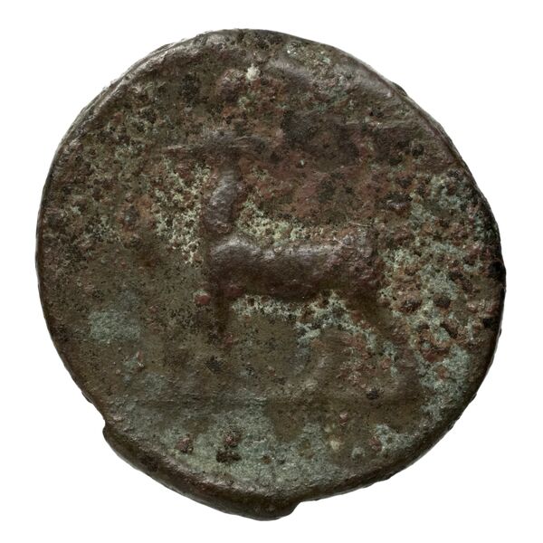 Syros BMC Syros 1-12, реверс, bnf-iris