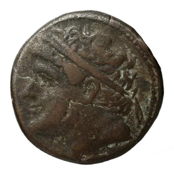Hieron II Syracuse Puglisi 2009 342-343, аверс, bnf-iris