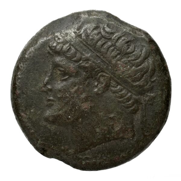 Hieron II Syracuse Puglisi 2009 342-343, аверс, bnf-iris