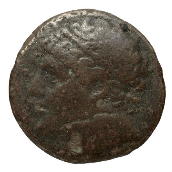Hieron II Syracuse Puglisi 2009 340, аверс, bnf-iris