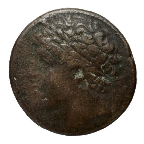 Hieron II Syracuse Puglisi 2009 340, аверс, bnf-iris