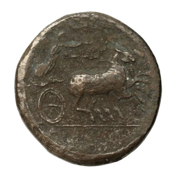 Hicetas Syracuse Puglisi 2009 328, реверс, bnf-iris
