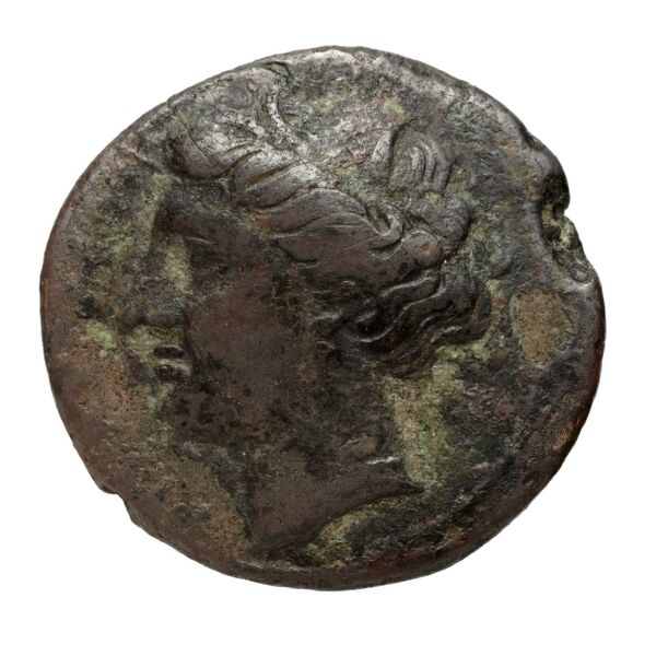 Hieron II Syracuse Puglisi 2009 335, аверс, bnf-iris