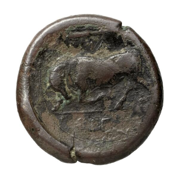 Hieron II Syracuse Puglisi 2009 335, реверс, bnf-iris