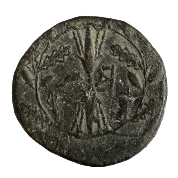 Epirote League Epirus Franke 1961 Epirote Symmachy Group II-III, реверс, bnf-iris
