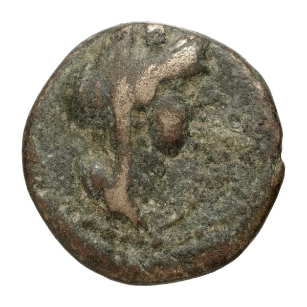 Sidon Hoover 2010 281, 292, 294, 299, аверс, bnf-iris