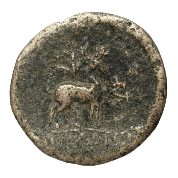 Ephesus Kinns and Holt 2023 Period VI, AE XXIII, реверс, bnf-iris