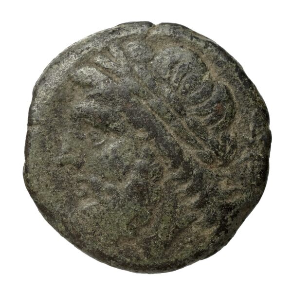 Arpi Historia Numorum Italy 642, аверс, bnf-iris