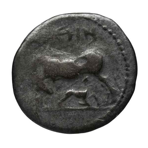 Apollonia, Illyria Maier 1907 9-105, аверс, bnf-iris