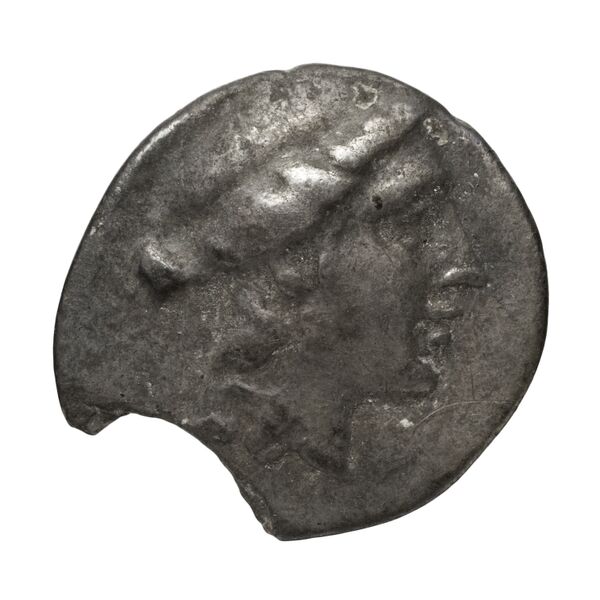 Chalcis Picard 1979 Series I group II issue 31-41 bronze, аверс, bnf-iris