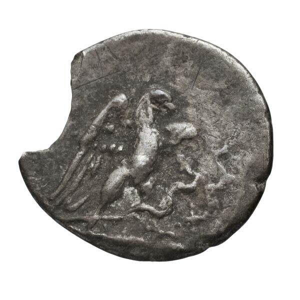 Chalcis Picard 1979 Series I group II issue 31-41 bronze, реверс, bnf-iris