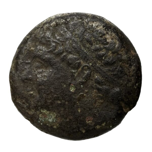 Hieronymus of Syracuse Syracuse Puglisi 2009 346, аверс, bnf-iris