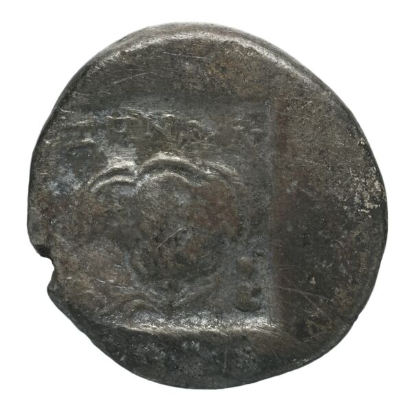 Rhodes Jenkins 1989 Group D drachms, реверс, bnf-iris