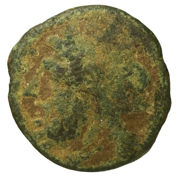 Arpi Historia Numorum Italy 642, аверс, bnf-iris