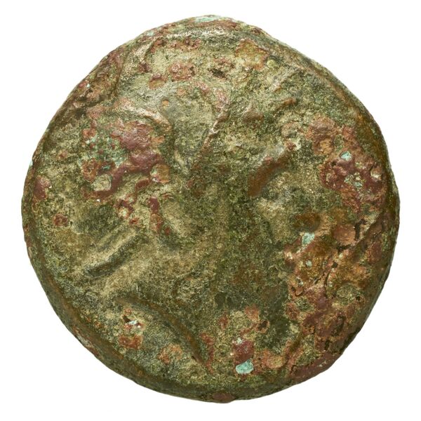 Philip V Macedon Mamroth 1935 20, аверс, bnf-iris