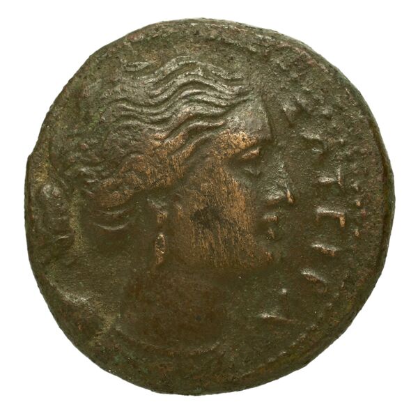 Agathocles of Syracuse Syracuse Puglisi 2009 322, аверс, bnf-iris