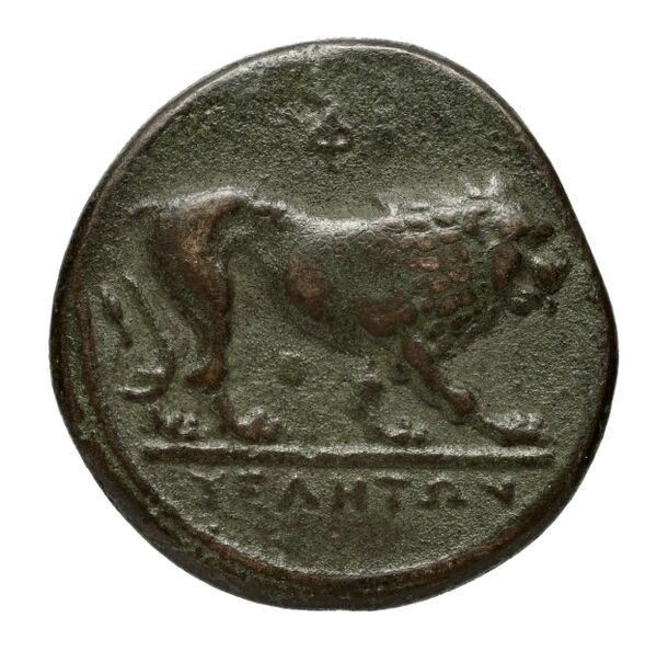 реверс Velia Historia Numorum Italy 1283-7