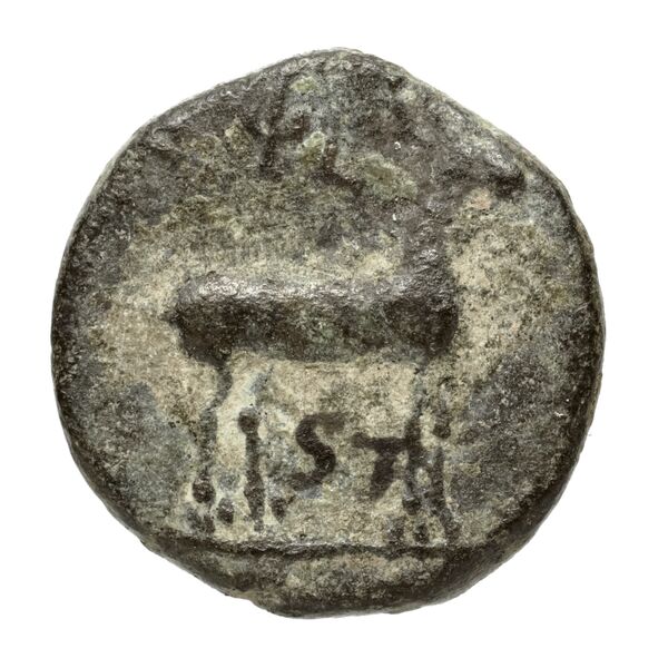 Ephesus Kinns and Holt 2023 Period V, AE XIV, реверс, bnf-iris