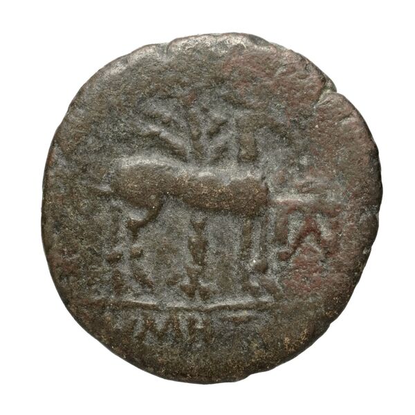 Ephesus Kinns and Holt 2023 Period VI, AE XXIII, реверс, bnf-iris