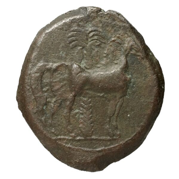 Carthaginian Empire Carthage Alexandropoulos 2007 18, реверс, bnf-iris