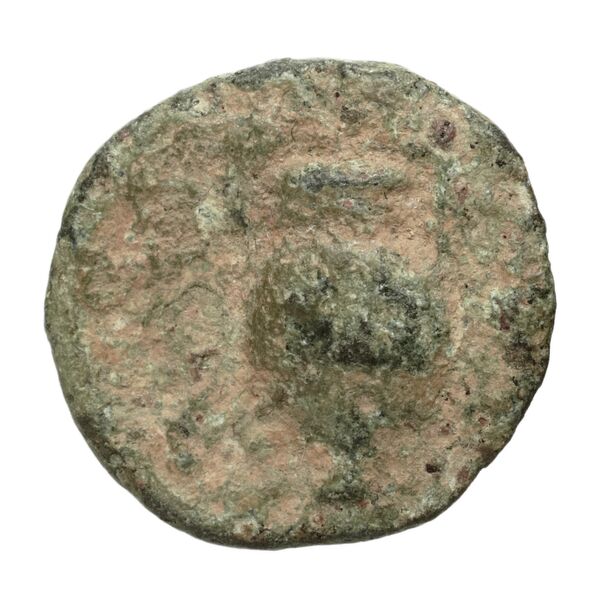 Astypalaea BMC Astyra 12-19, реверс, bnf-iris