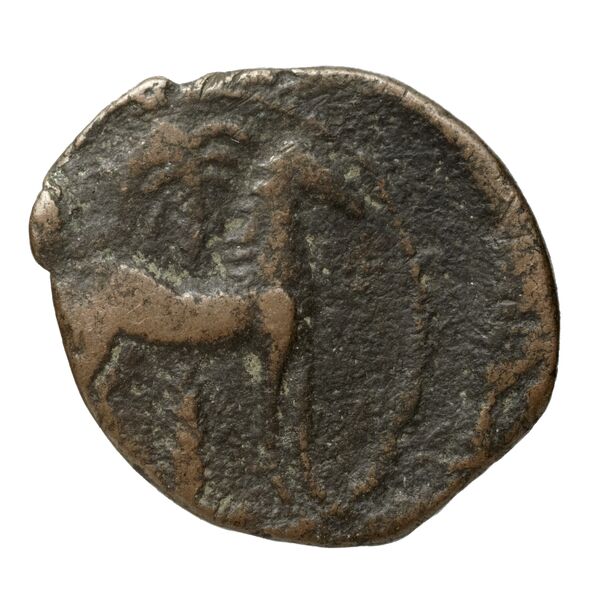 Carthaginian Empire Carthage Alexandropoulos 2007 18, реверс, bnf-iris