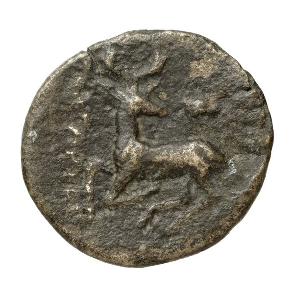 Ephesus Kinns and Holt 2023 Period II, AE VIII, реверс, bnf-iris