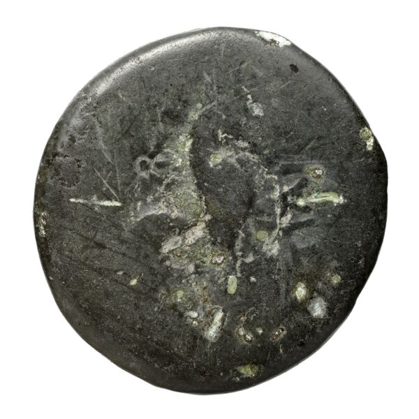 реверс Teanum Sidicinum Historia Numorum Italy 453