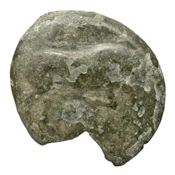 Arpi Historia Numorum Italy 645, аверс, bnf-iris