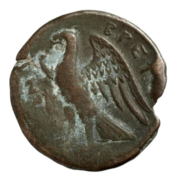 Brettii Bruttium Historia Numorum Italy 1978-1981, reverse, bnf-iris
