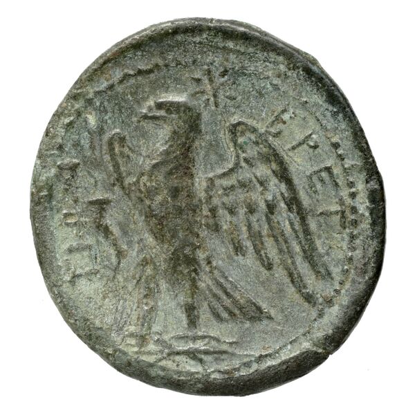 Brettii Bruttium Historia Numorum Italy 1978-1981, reverse, bnf-iris