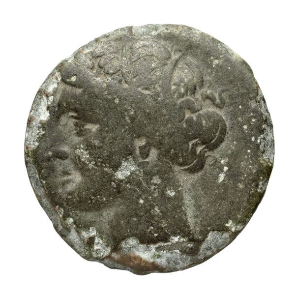 Hieron II Syracuse Puglisi 2009 335, аверс, bnf-iris