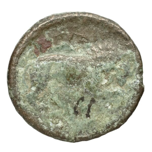 Perdiccas III of Macedon Macedon BMC Perdiccas III 2-7, реверс, bnf-iris