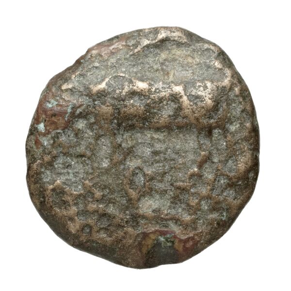 Poseidonia Historia Numorum Italy 1171-9, аверс, bnf-iris