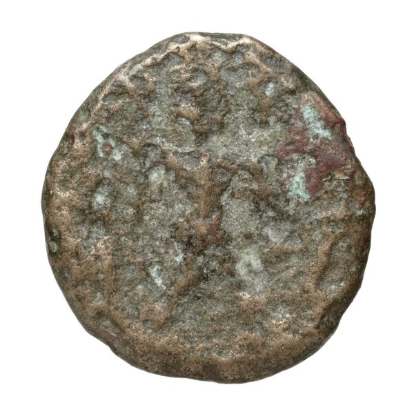 Poseidonia Historia Numorum Italy 1171-9, реверс, bnf-iris
